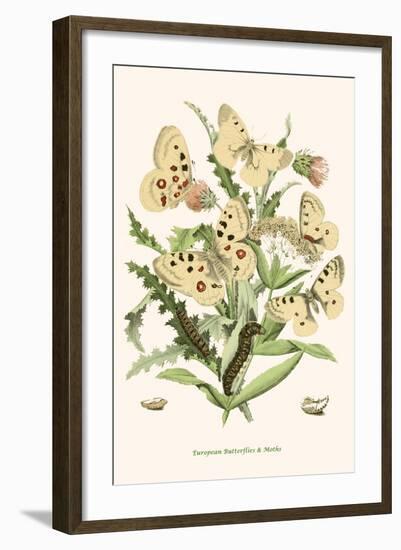 European Butterflies and Moths-W.F. Kirby-Framed Art Print