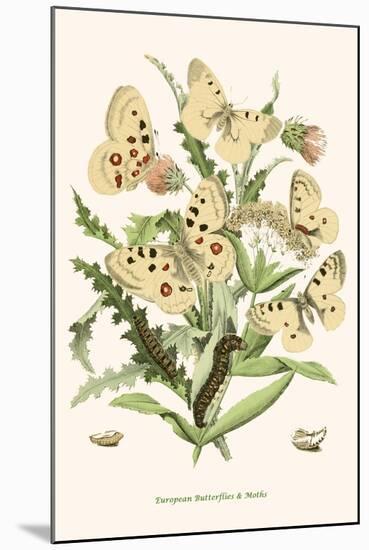 European Butterflies and Moths-W.F. Kirby-Mounted Art Print