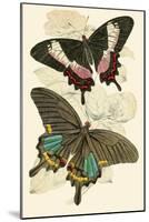 European Butterflies and Moths-James Duncan-Mounted Art Print