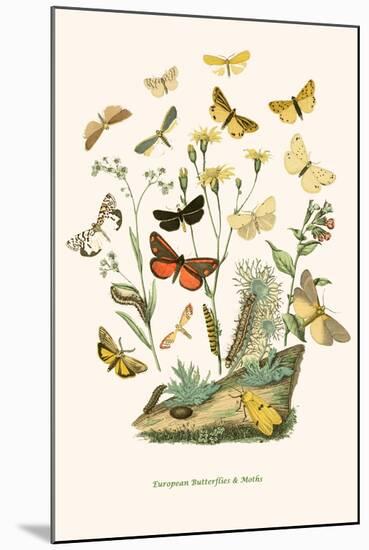 European Butterflies and Moths-W.F. Kirby-Mounted Art Print