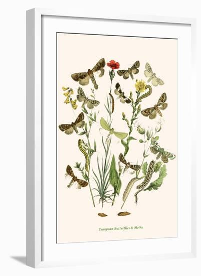 European Butterflies and Moths-W.F. Kirby-Framed Art Print