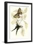 European Butterflies and Moths-James Duncan-Framed Art Print