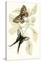 European Butterflies and Moths-James Duncan-Stretched Canvas