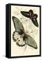 European Butterflies and Moths-James Duncan-Framed Stretched Canvas