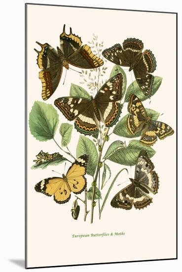 European Butterflies and Moths-W.F. Kirby-Mounted Art Print