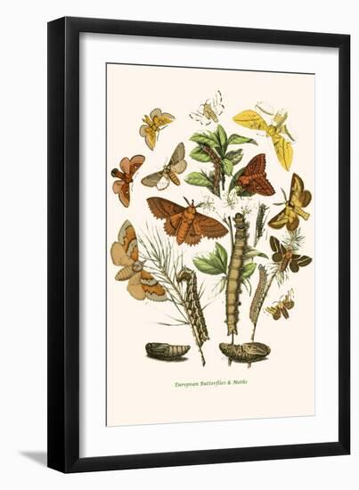 European Butterflies and Moths-W.F. Kirby-Framed Art Print