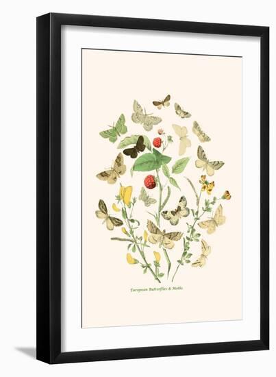 European Butterflies and Moths-W.F. Kirby-Framed Art Print