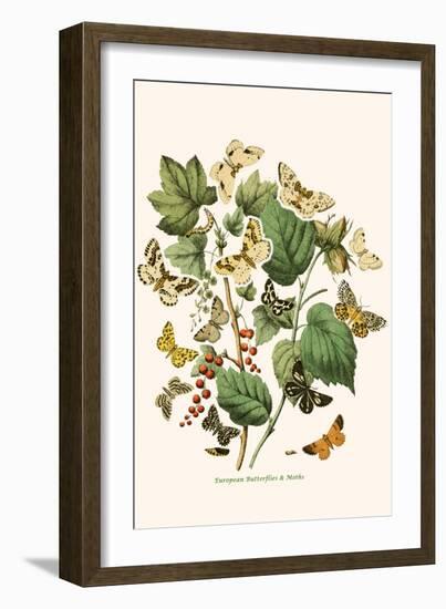 European Butterflies and Moths-W.F. Kirby-Framed Art Print