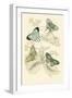 European Butterflies and Moths-James Duncan-Framed Art Print