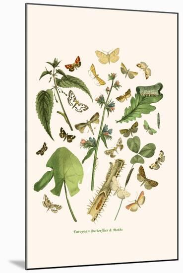 European Butterflies and Moths-W.F. Kirby-Mounted Art Print