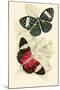 European Butterflies and Moths-James Duncan-Mounted Art Print