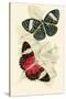 European Butterflies and Moths-James Duncan-Stretched Canvas