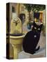 European Cat at St. Paul de Vence, France-Isy Ochoa-Stretched Canvas