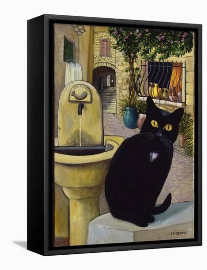 European Cat at St. Paul de Vence, France-Isy Ochoa-Framed Stretched Canvas