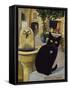 European Cat at St. Paul de Vence, France-Isy Ochoa-Framed Stretched Canvas