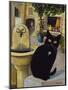 European Cat at St. Paul de Vence, France-Isy Ochoa-Mounted Giclee Print
