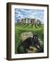 European Cat at Stonehenge/Great Britain-Isy Ochoa-Framed Giclee Print