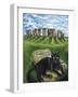 European Cat at Stonehenge/Great Britain-Isy Ochoa-Framed Giclee Print