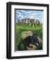 European Cat at Stonehenge/Great Britain-Isy Ochoa-Framed Giclee Print