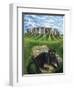 European Cat at Stonehenge/Great Britain-Isy Ochoa-Framed Giclee Print