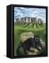 European Cat at Stonehenge/Great Britain-Isy Ochoa-Framed Stretched Canvas