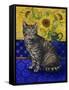 European Cat, Series I-Isy Ochoa-Framed Stretched Canvas