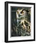 European Eagle Owl, New Forest Owl Sanctuary, Ringwood, Hampshire, England, United Kingdom, Europe-Murray Louise-Framed Photographic Print