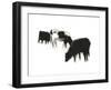 European Farm Collection X-Ethan Harper-Framed Art Print