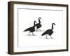 European Farm Collection XI-Ethan Harper-Framed Art Print