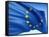 European Flag-bioraven-Framed Stretched Canvas