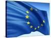 European Flag-bioraven-Stretched Canvas