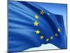 European Flag-bioraven-Mounted Art Print