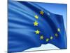 European Flag-bioraven-Mounted Art Print