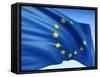 European Flag-bioraven-Framed Stretched Canvas