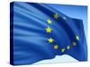 European Flag-bioraven-Stretched Canvas