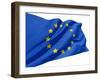 European Flag-bioraven-Framed Art Print