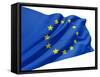 European Flag-bioraven-Framed Stretched Canvas