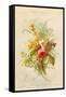 European Flowers Used in Making Perfumes-null-Framed Stretched Canvas