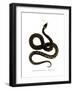 European Grass Snake-null-Framed Giclee Print