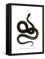 European Grass Snake-null-Framed Stretched Canvas