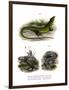 European Green Lizard-null-Framed Giclee Print