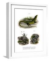 European Green Lizard-null-Framed Giclee Print