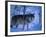 European Grey Wolf Male in Snow, C Norway-Asgeir Helgestad-Framed Photographic Print