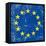 European Grunge Flag. A Square Flag Of European Union With A Texture-TINTIN75-Framed Stretched Canvas
