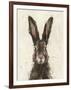 European Hare I-Ethan Harper-Framed Art Print