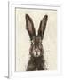 European Hare I-Ethan Harper-Framed Art Print