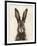 European Hare I-Ethan Harper-Framed Art Print