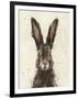 European Hare I-Ethan Harper-Framed Art Print