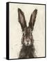 European Hare I-Ethan Harper-Framed Stretched Canvas