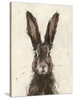 European Hare I-Ethan Harper-Stretched Canvas